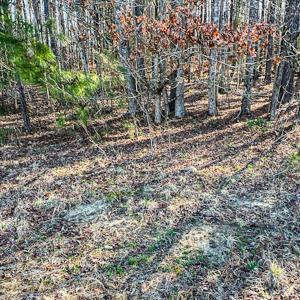 Photo #40 of SOLD property in OFF Western Mill Road , Lawrenceville, VA 40.0 acres