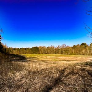 Photo #41 of OFF Western Mill Road , Lawrenceville, VA 40.0 acres