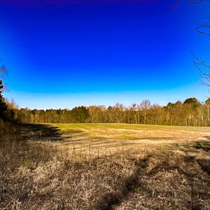 Photo #41 of SOLD property in OFF Western Mill Road , Lawrenceville, VA 40.0 acres