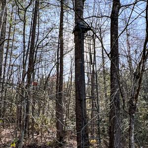 Photo #42 of SOLD property in OFF Western Mill Road , Lawrenceville, VA 40.0 acres