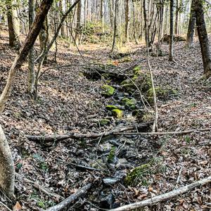 Photo #43 of SOLD property in OFF Western Mill Road , Lawrenceville, VA 40.0 acres