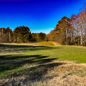 Photo #48 of SOLD property in OFF Western Mill Road , Lawrenceville, VA 40.0 acres