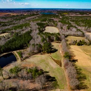 Photo #50 of SOLD property in OFF Western Mill Road , Lawrenceville, VA 40.0 acres