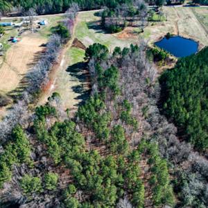 Photo #51 of SOLD property in OFF Western Mill Road , Lawrenceville, VA 40.0 acres
