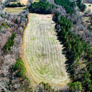 Photo #52 of SOLD property in OFF Western Mill Road , Lawrenceville, VA 40.0 acres
