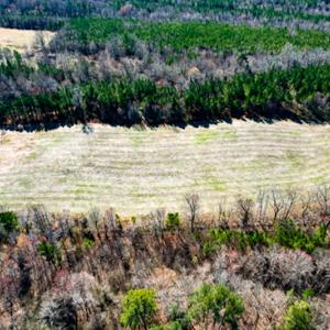 Photo #53 of SOLD property in OFF Western Mill Road , Lawrenceville, VA 40.0 acres