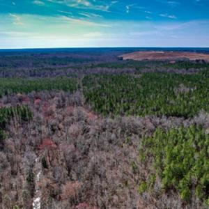 Photo #58 of SOLD property in OFF Western Mill Road , Lawrenceville, VA 40.0 acres
