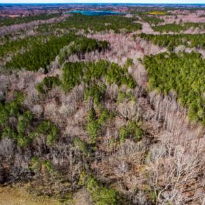 Photo #64 of SOLD property in OFF Western Mill Road , Lawrenceville, VA 40.0 acres