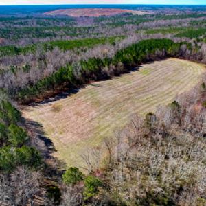 Photo #66 of SOLD property in OFF Western Mill Road , Lawrenceville, VA 40.0 acres