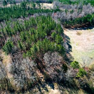 Photo #67 of SOLD property in OFF Western Mill Road , Lawrenceville, VA 40.0 acres