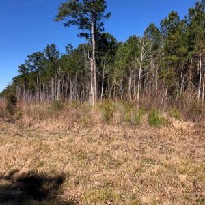 Photo #9 of SOLD property in Off Kelly Rd.  , Bath, NC 15.0 acres