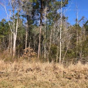Photo #8 of SOLD property in Off Kelly Rd.  , Bath, NC 15.0 acres