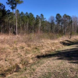 Photo #2 of SOLD property in Off Kelly Rd.  , Bath, NC 15.0 acres