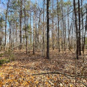Photo #11 of Off Rapidan Hills Dr., Locust Grove, VA 2.8 acres
