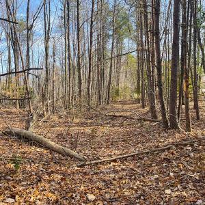 Photo #12 of SOLD property in Off Rapidan Hills Dr., Locust Grove, VA 2.8 acres