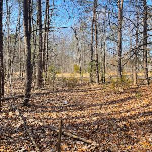 Photo #13 of SOLD property in Off Rapidan Hills Dr., Locust Grove, VA 2.8 acres