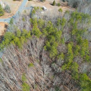 Photo #5 of SOLD property in Off Rapidan Hills Dr., Locust Grove, VA 2.8 acres