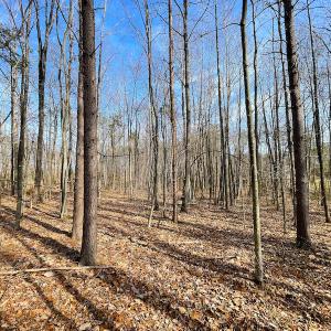 Photo #9 of SOLD property in Off Rapidan Hills Dr., Locust Grove, VA 2.8 acres