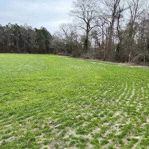 Photo #8 of Off St. Johns Church Road, Goldsboro, NC 111.2 acres