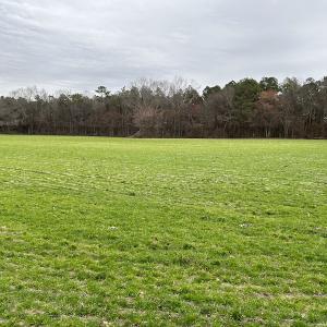 Photo #9 of SOLD property in Off St. Johns Church Road, Goldsboro, NC 111.2 acres