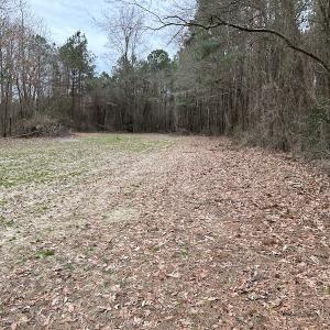 Photo #11 of SOLD property in Off St. Johns Church Road, Goldsboro, NC 111.2 acres