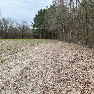 Photo #12 of Off St. Johns Church Road, Goldsboro, NC 111.2 acres