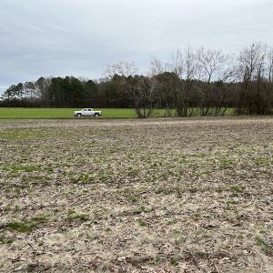 Photo #13 of Off St. Johns Church Road, Goldsboro, NC 111.2 acres