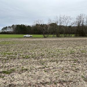 Photo #13 of SOLD property in Off St. Johns Church Road, Goldsboro, NC 111.2 acres