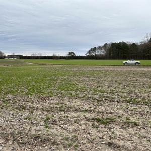 Photo #14 of SOLD property in Off St. Johns Church Road, Goldsboro, NC 111.2 acres