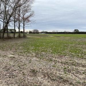 Photo #15 of Off St. Johns Church Road, Goldsboro, NC 111.2 acres