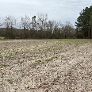 Photo #16 of SOLD property in Off St. Johns Church Road, Goldsboro, NC 111.2 acres