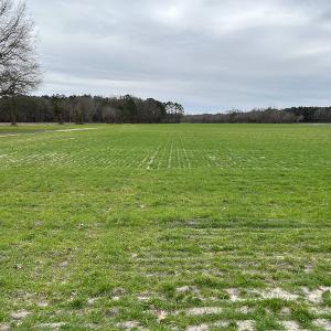 Photo #18 of Off St. Johns Church Road, Goldsboro, NC 111.2 acres