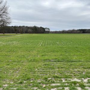 Photo #18 of SOLD property in Off St. Johns Church Road, Goldsboro, NC 111.2 acres