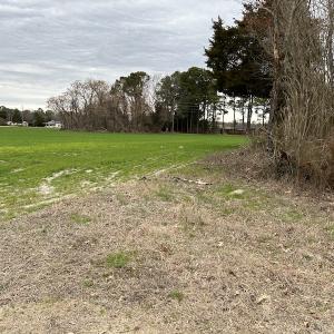 Photo #20 of SOLD property in Off St. Johns Church Road, Goldsboro, NC 111.2 acres