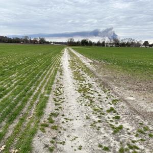 Photo #21 of Off St. Johns Church Road, Goldsboro, NC 111.2 acres