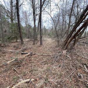 Photo #22 of Off St. Johns Church Road, Goldsboro, NC 111.2 acres