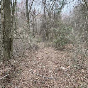 Photo #23 of Off St. Johns Church Road, Goldsboro, NC 111.2 acres