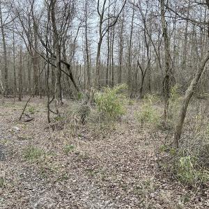 Photo #24 of Off St. Johns Church Road, Goldsboro, NC 111.2 acres