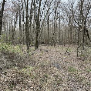 Photo #25 of Off St. Johns Church Road, Goldsboro, NC 111.2 acres