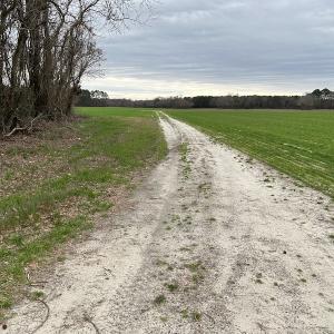 Photo #44 of Off St. Johns Church Road, Goldsboro, NC 111.2 acres