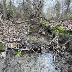 Photo #30 of Off St. Johns Church Road, Goldsboro, NC 111.2 acres