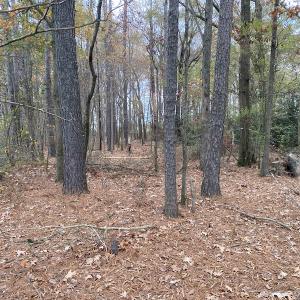 Photo #35 of SOLD property in Off St. Johns Church Road, Goldsboro, NC 111.2 acres