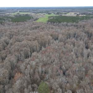 Photo #37 of SOLD property in Off St. Johns Church Road, Goldsboro, NC 111.2 acres