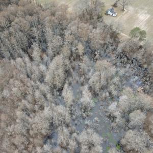 Photo #38 of SOLD property in Off St. Johns Church Road, Goldsboro, NC 111.2 acres