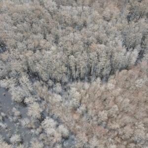 Photo #40 of Off St. Johns Church Road, Goldsboro, NC 111.2 acres