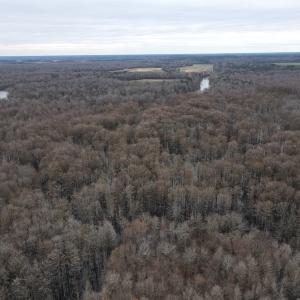 Photo #41 of Off St. Johns Church Road, Goldsboro, NC 111.2 acres