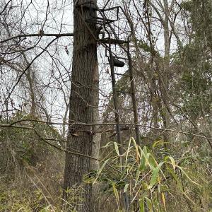 Photo #43 of Off St. Johns Church Road, Goldsboro, NC 111.2 acres