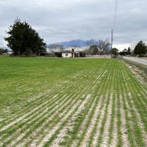 Photo #5 of Off St. Johns Church Road, Goldsboro, NC 111.2 acres