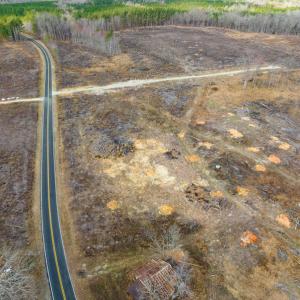 Photo #5 of Off Hughes Mill Road, Lot 3, Burlington, NC 6.0 acres