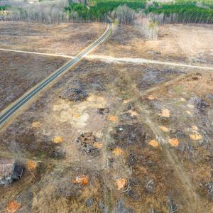 Photo #6 of SOLD property in Off Hughes Mill Road, Lot 3, Burlington, NC 6.0 acres